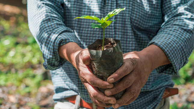 Programa Medioambiente