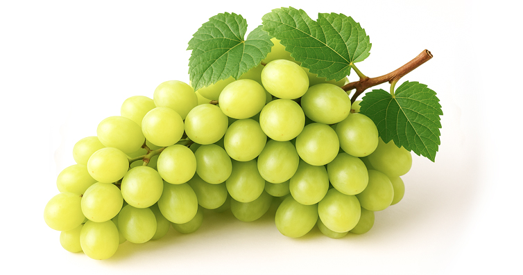 Uva Blanca Thompson Seedless