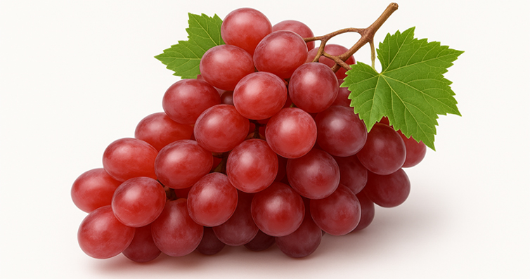 Uva Roja Red Globe